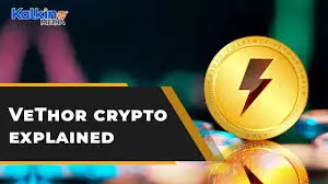 VeThor Token